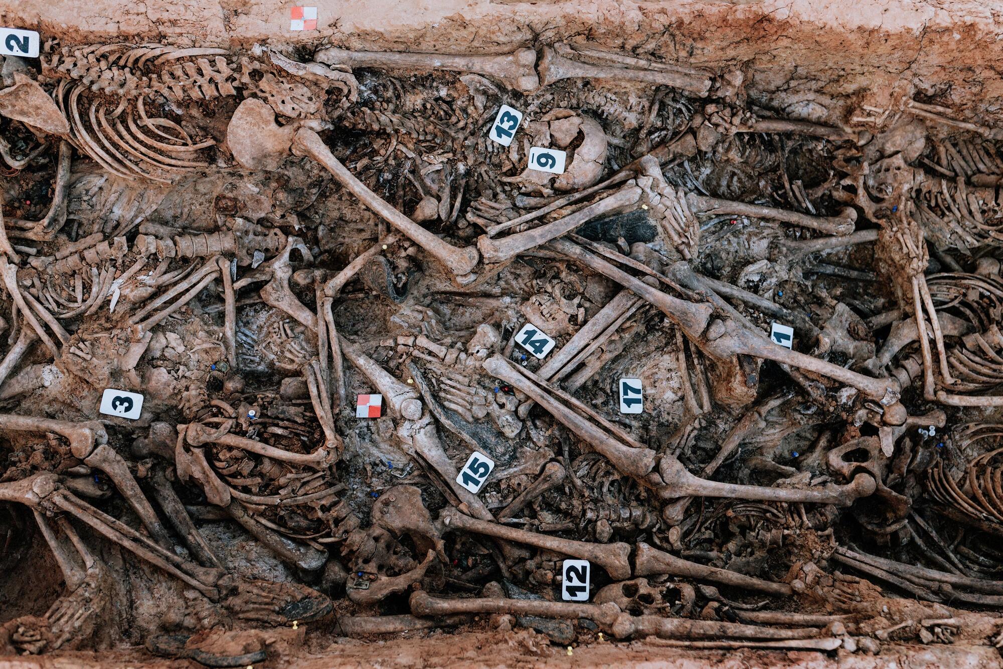 Tantos muertos que nos faltan. Benacazón. Sevilla. - 4